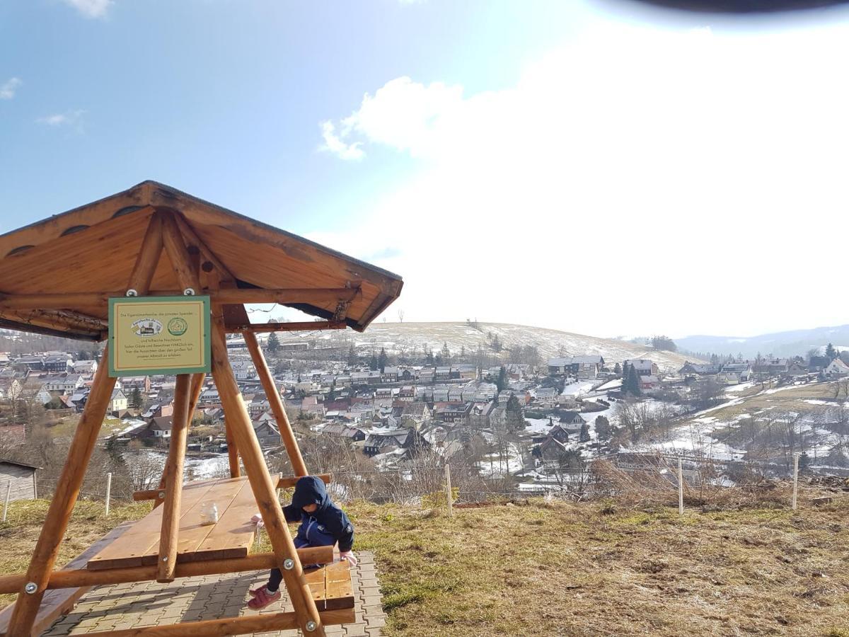 Unik Villa Sankt Andreasberg Zewnętrze zdjęcie